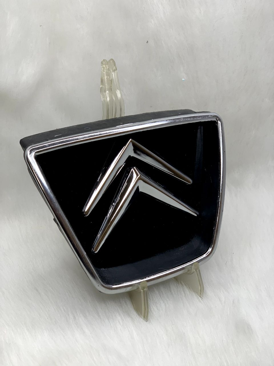 لوگو زانتیا برای جلو پنجره پارس