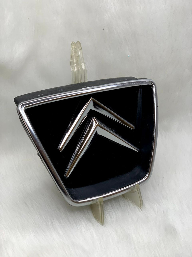 لوگو زانتیا برای جلو پنجره پارس